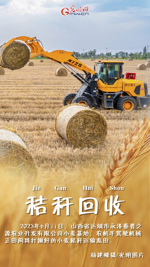 【三夏进行时】海报|三晋夏收农忙“丰”景