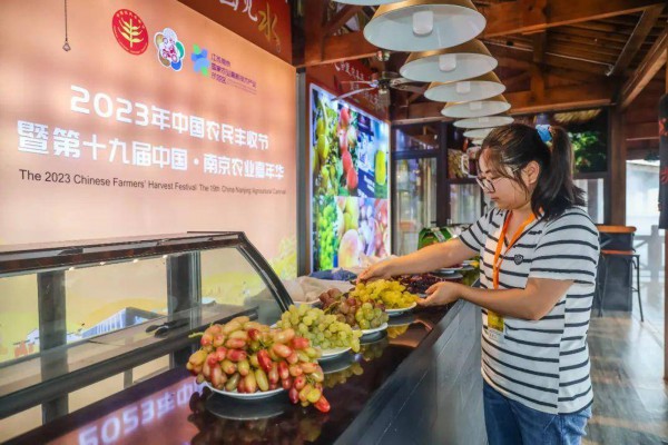 现场展出的特色农产品