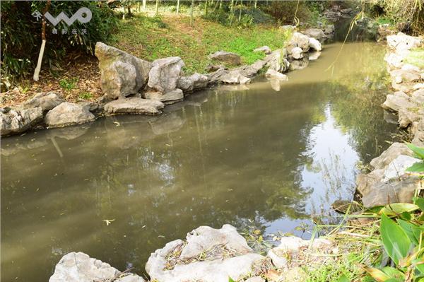 南京情侣园惊现"黑水河" 水质墨黑浑浊有"污"景区形象