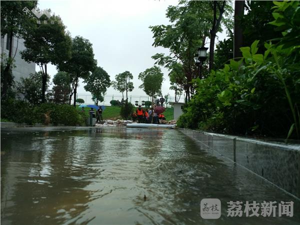 南京树人中学2020年_炸了!南京树人中学杀入全国第一!琅小全国第4!