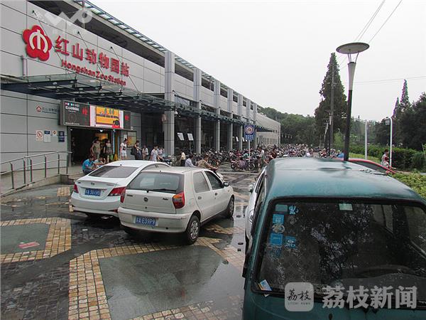 红山动物园地铁站门口成免费"停车场"?