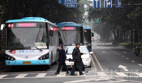 南京7条公交线路承诺100%礼让斑马线