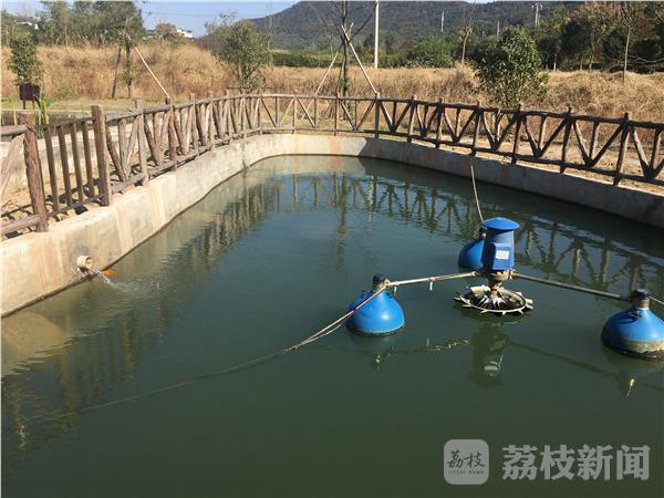开云 开云体育官网“农家乐”植物大战污水 江苏首个人工湿地污水处理项目建成(图3)