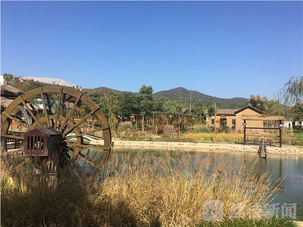 开云 开云体育官网“农家乐”植物大战污水 江苏首个人工湿地污水处理项目建成