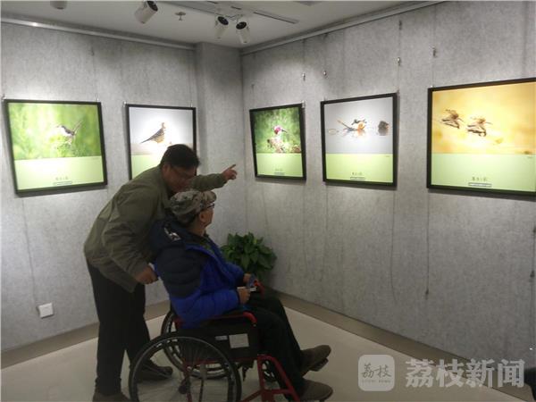 鸟类摄影艺术展 用镜头呼吁爱鸟护鸟(图3) 鸟类摄影艺术展 用镜头呼吁爱鸟护鸟(图3)
