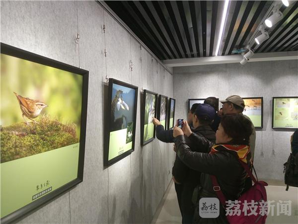 鸟类摄影艺术展 用镜头呼吁爱鸟护鸟(图4) 鸟类摄影艺术展 用镜头呼吁爱鸟护鸟(图4)