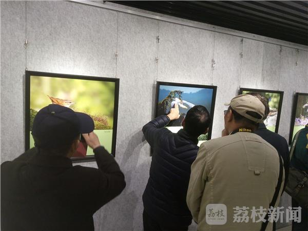 鸟类摄影艺术展 用镜头呼吁爱鸟护鸟(图5) 鸟类摄影艺术展 用镜头呼吁爱鸟护鸟(图5)
