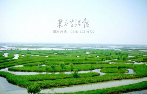 大纵湖景区_副本