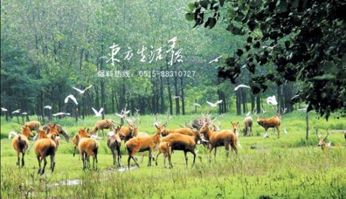 140114173418730_副本