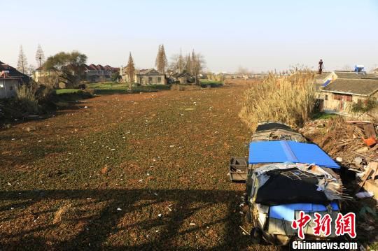 水葫芦积集在苏北串场盐城大丰段。