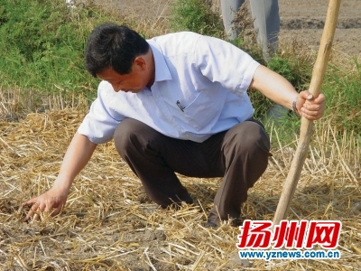 农技指导。资料图片