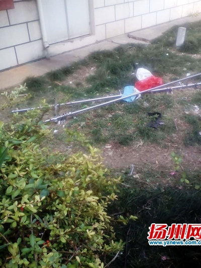 楼下草地上散落的晾衣杆。永富摄 楼下草地上散落的晾衣杆。永富摄