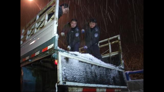 雪夜南京 各部门联动铲雪除冰