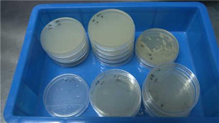 冰箱一年不洗会比马桶还脏 你家的冰箱清洁了吗？