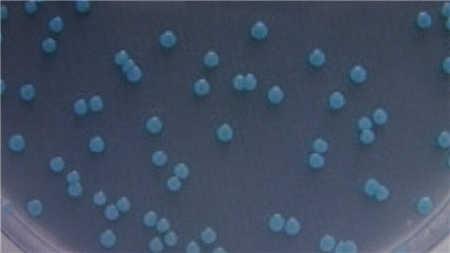 冰箱一年不洗会比马桶还脏 你家的冰箱清洁了吗？