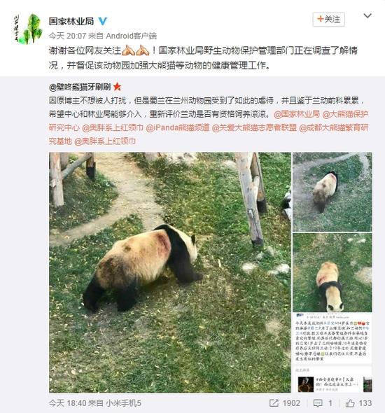 兰州动物园被曝虐待熊猫 林业局回应