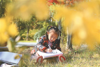 cb671e2f-b295-4905-9e93-135550a0f363.jpg.1