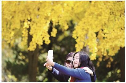 QQ截图20161116074502