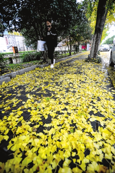 蒋世颖 摄 蒋世颖 摄