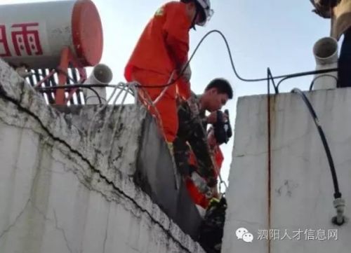 4743ff838874a26f13d1