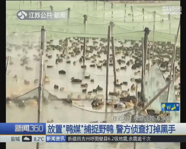 放置&ldquo;鸭媒&rdquo;捕鸟 连云港警方解救几千只野生鸟