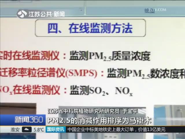 抗污染绿植大起底 你选对了吗?