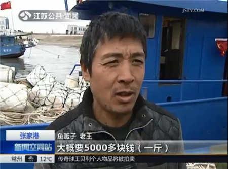 张家港长江刀鱼开捕 最贵可卖到五千元一斤