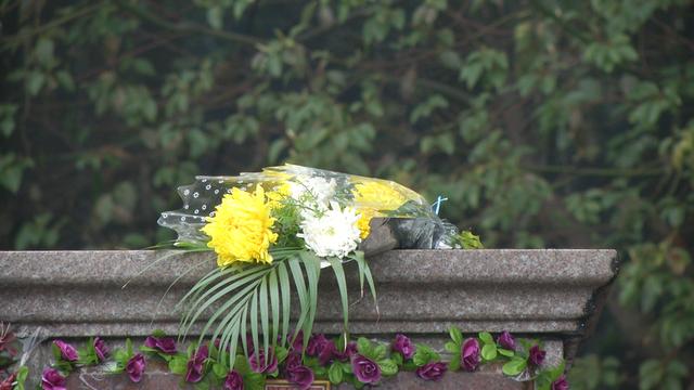 南京迎来祭扫高峰 文明祭扫比例增多