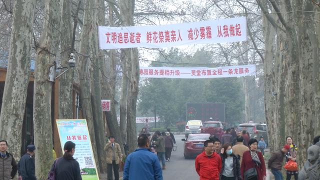 南京迎来祭扫高峰 文明祭扫比例增多