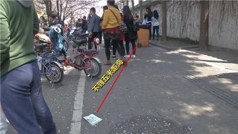 文明赏花！南京鸡鸣寺樱花遭游客人为制造&ldquo;浪漫花雨&rdquo;