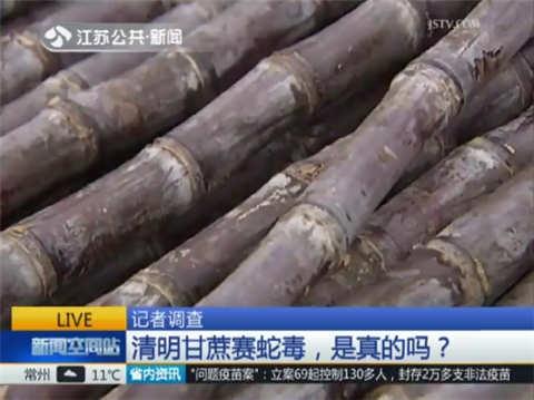 清明红心甘蔗赛蛇毒,是真的吗?