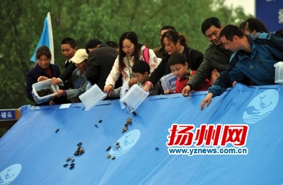 第五届高宝邵伯湖放鱼节现场。资料图片