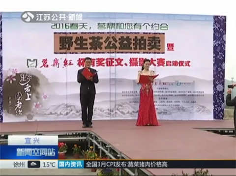 二两野生茶拍出11.8万元 部分拍卖款纳入爱心基金