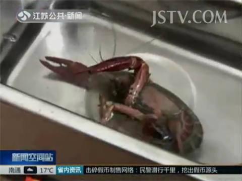 女子吃小龙虾竟咳血 寄生虫潜伏肺部