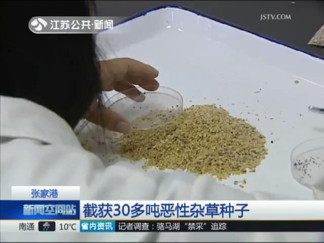 张家港截获30多吨恶性杂草种子