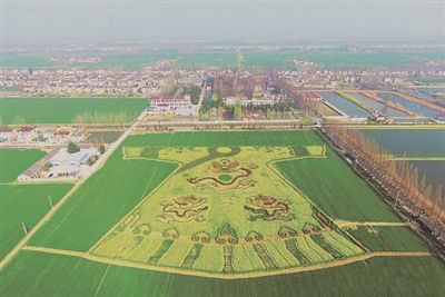 正看&ldquo;龙袍&rdquo;图案。
