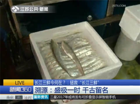 拯救&ldquo;长江三鲜&rdquo; 河豚养殖技术成熟毒性可控
