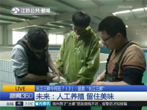 拯救&ldquo;长江三鲜&rdquo; 河豚养殖技术成熟毒性可控