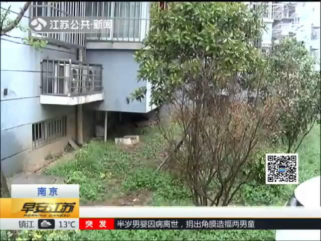 小区内辛苦栽果树 两月后莫名被拔