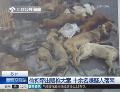 苏州：偷狗牵出贩枪大案 十余名嫌疑人落网