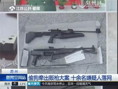 苏州：偷狗牵出贩枪大案 十余名嫌疑人落网