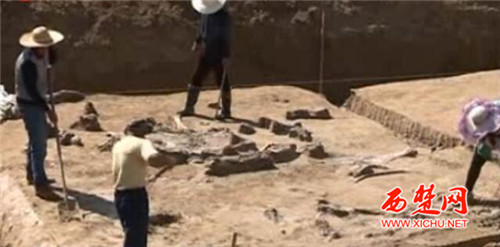 世界最大淮河象“现身”宿迁泗洪