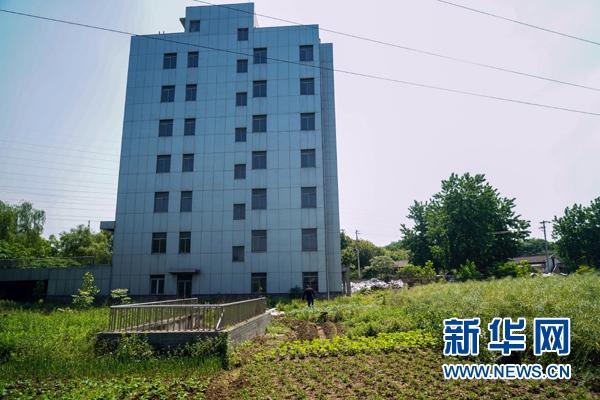 江苏南京化工园区新建办公楼闲置:院内种油菜