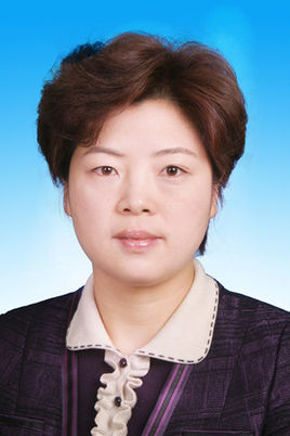 泗阳县委副书记,新风刘气机回收宿迁市宿豫区委样本县长换书记带热拟任的海红图片