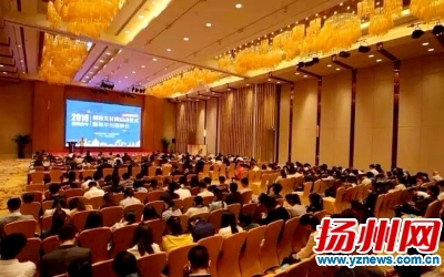 青年创客峰会现场。扬团摄