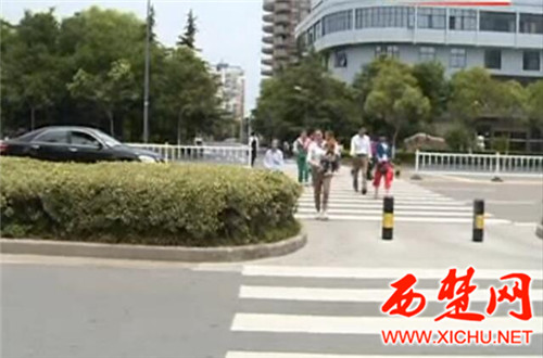 礼让行人 宿迁市公车礼让率达99% 私家车礼让率达95%