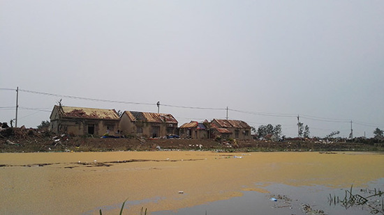 大片小麦漂浮在小洋河上，向东流去。