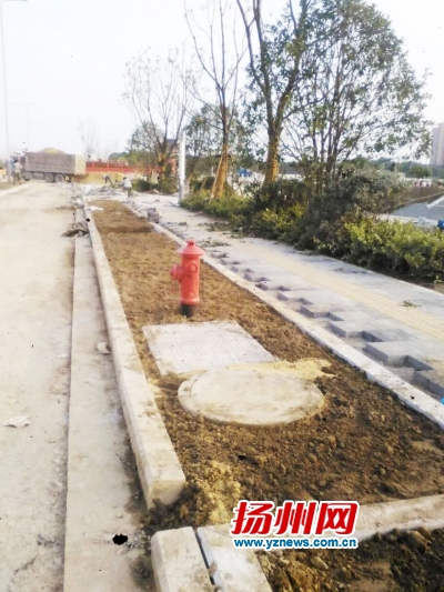 人行道预留“滞留池”向家富摄