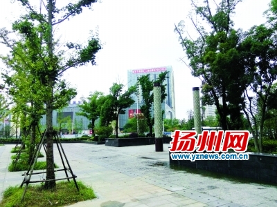 世纪广场公园。