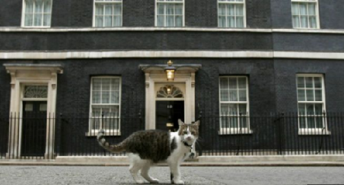 英国首相府换主人 “第一猫”继续留任(图)